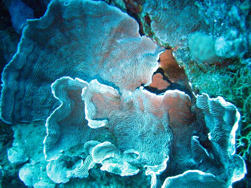 2009-12-03 11-39-20S.jpg